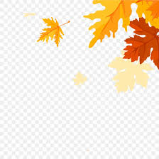 Maple Leaves Falling Png 945x945px Leaf Autumn Coreldraw Flowering Plant Fundal Download Free Cartoon clip art fall leaves. maple leaves falling png 945x945px