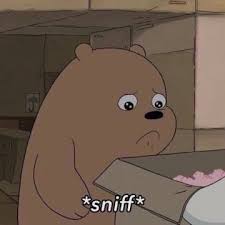 Maybe you would like to learn more about one of these? We Bare Bears And Cartoon Image 6621720 On Favim Com