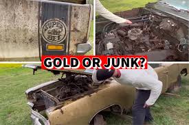 Image result for Gold 1969 Dodge