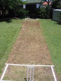 Having a cricket pitch at home is a lucky privilege not ever cricket lover can have. 10 Backyard Cricket Pitch Ideas Backyard Cricket Pitch