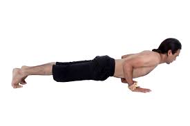 Chaturanga Dandasana Four Limbed Staff Pose