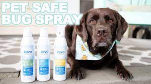 Pet Friendly Zevo Bug Spray Youtube