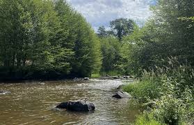 Best walking trails in White City