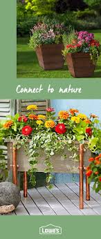 Bird Netting For Blueberries Lowes Diy Projects And Ideas Garden Yard Ideas Garden Containers Backyard Garden