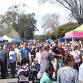 Violet Town Community Market — The Essence Of Pearls event image
