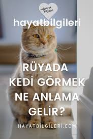 Ruyada Kedinin Konusmasi