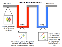 Milk Making Process Milk Pasteurization Process Flow Chart