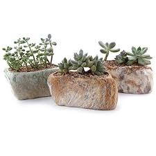 You won't want to miss these savings. T4u 5 5 Inch Ceramic Succulent Pot Planter With Drainage Hole Set Of 3 Stone Shape Rectangle