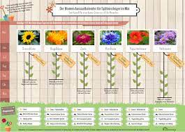 Hier erhalten sie alle infos zum richtigen zeitpunkt für die aussaat. Blumen Saen Im Mai Aussaatkalender Fur Spateinsteiger