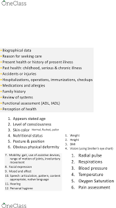 Nurs 202 Study Guide Spring 2018 Final Physical