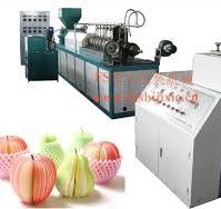 EPE/PE Foam Net Machine for Mango, Pine Apple, Guava, Papaya ...