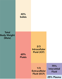 Image result for Localized Edema
