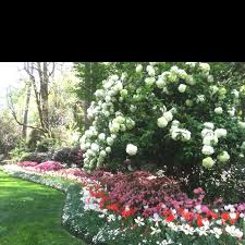 4629 wieuca rd ne, atlanta, ga 30342 get directions. Amazing Garden On Habersham Rd Atlanta Ga Always Has A Welcome Flower Lovers Sign In Spring Amazing Gardens Welcome Flowers Spring Flowers