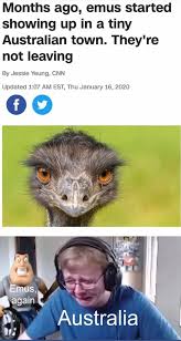 Its The Great Emu War 2 Emu War Memes Funny Images