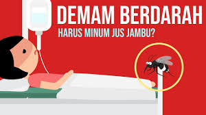 Demam denggi adalah satu penyakit yang ditakuti oleh ramai orang. 5 Minuman Super Yang Boleh Mengatasi Gejala Demam Berdarah Denggi Dhf