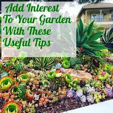 A Healthy Start How To Grow An Organic Garden 101 Gardening Ideas Succulent Landscape Design Succulent Landscaping Succulents Garden
