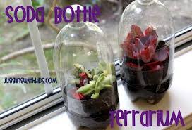 Making These This Summer Bottle Terrarium Terrarium Gardening For Kids