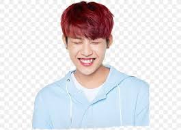 Descrição do produto em inglês após . Park Woo Jin Wanna One Go Produce 101 Png 533x590px Park Woojin Bangs Brown Hair Cheek