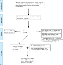 Prisma Flow Chart Searching Google Scholar For