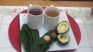 Remedios Caseros Te De Hojas Y Hueso De Aguacate Baja El Colesterol Y Controla La Diabetes Youtube