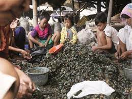 Pihak berkuasa seperti unicef telah mengambil tindakan yang sepatutnya bagi menangani masalah ini. Rancang Henti Buruh Kanak Kanak Hamimsamuri