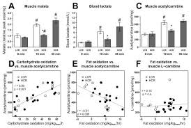 Thus it is one of most significant places in the world. Maximal Oxidative Capacity During Exercise Is Associated With Skeletal Muscle Fuel Selection And Dynamic Changes In Mitochondrial Protein Acetylation Abstract Europe Pmc