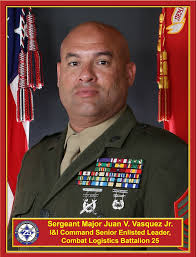 Combat Logistics Battalion 25