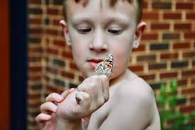 Jessica Metcalf Photography