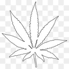 We did not find results for: Cannabis Leaf Drawing Png Hop Leaf Cannabis Leaf Drawings Indica Cannabis Leaf Drawing Black Background Cannabis Leaf Drawing Psychedelic Cannabis Leaf Drawing Scientific Cannabis Leaf Drawing Psycedlic Cannabis Leaf Drawing Cannabis Leaf Drawing