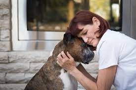 See bbb rating, reviews, complaints, & more. 24 Hour Emergency Vet Clinics In Calgary And Okotoks Calgary Pet Dog And Equine Photographer