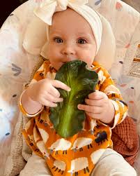 Get them hooked veggies when they're little with @oliandcarol ! Handmade  with all natural rubber these teethers are not only hygienic and  environmentally friendly but ADORABLE! Made with zero holes, which means