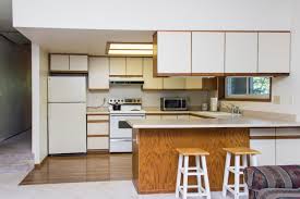 jane's guest apartment kitchen remodel
