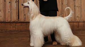Maybe you would like to learn more about one of these? Ygeiamou Gr To Site Gia Thn Kalh Ygeia Thn Swsth Diatrofh Kai Thn Eye3ia