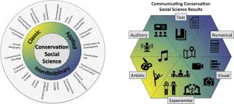 The environment protection and biodiversity conservation act 1999 is the main environmental protection legislation for australia. Conservation Social Science Understanding And Integrating Human Dimensions To Improve Conservation Sciencedirect