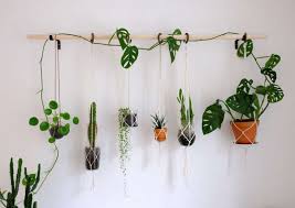 This indoor plant wall diy project is outstanding, make it for your home and place it where it can get enough bright build this indoor vertical wall garden using succulents and hang it somewhere where it can 10. Diy Hanging Plant Wall With Macrame Planters