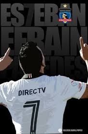 First found in 1968, it is known only from a single wintering site in thailand, and may be extinct, since there have been no confirmed sightings since 1980 despite targeted surveys in thailand and cambodia. 75 Ideas De Colocolo Colocolo Fotos Del Equipo De Futbol Futbol