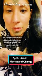 Fly Bug Sign Language Moth