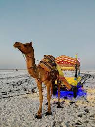 Interview with the Travel Vlogger Devang Sharma