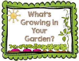 Lcps Cafe On Twitter Kids Vegetable Garden Spring Kindergarten School Garden