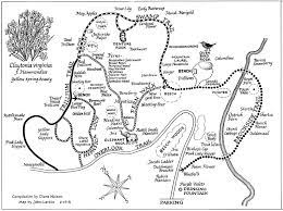 Tourne Park Trail Map Wildflower Trail – Rockaway Valley Garden Club