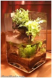 Shamwerks Paludarium Nano Paludarium