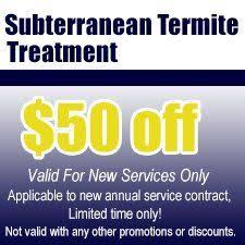 Inherently, residents in florida are bound to deal with bugs and pests. Pest Control Tampa Fl Best Termite Pest Control Inc