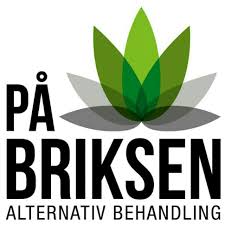 På Briksen