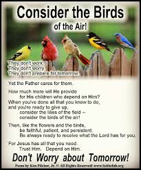 Birds Of The Air Consider The Birds In The Air Bird Quotes Godly Qoutes Inspirational Poems
