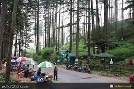 Dhanaulti presents tourist with natural beauty all throughout the year and thus can be visited anytime. Dhanaulti Hill Station Travel Guidelines Dhanaulti Tourism Guide Tips