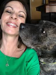 Mid-century modern seven drawer dresser for sale