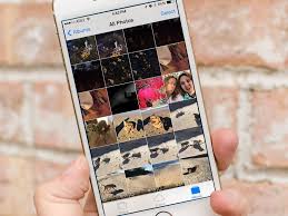 College of science and mathematics. Apple Confirms Csam Checks Will Be Carried Out On Photos Already In Icloud Imore