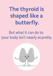 Home to show her friends what she's learnt during her visit. Thyroid Treatment Solutions The Lucy Rose Clinic