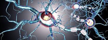 So what are the differences between rrms, spms, and ppms? Faqs Multiple Sclerosis Ms Frequently Asked Questions Rxlist