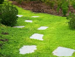 We did not find results for: Stepables Perfect Plants For Paths And Walkways The Garden Glove